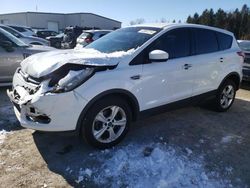 Salvage cars for sale at Leroy, NY auction: 2016 Ford Escape SE