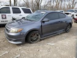 Salvage cars for sale at Cicero, IN auction: 2008 Scion TC