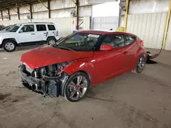 Salvage cars for sale from Copart Phoenix, AZ: 2016 Hyundai Veloster