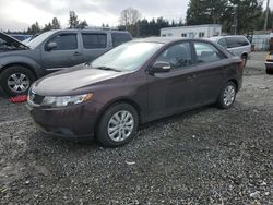 Salvage cars for sale at Graham, WA auction: 2010 KIA Forte EX