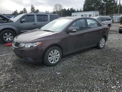 2010 KIA Forte EX en venta en Graham, WA