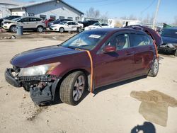 Salvage cars for sale at Pekin, IL auction: 2008 Honda Accord EXL