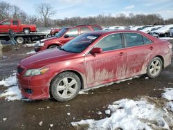 Salvage cars for sale from Copart Des Moines, IA: 2010 Toyota Camry Base