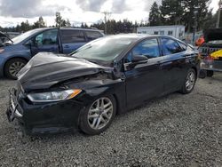 Salvage cars for sale at Graham, WA auction: 2016 Ford Fusion SE