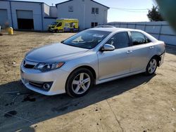 Toyota Camry L salvage cars for sale: 2014 Toyota Camry L