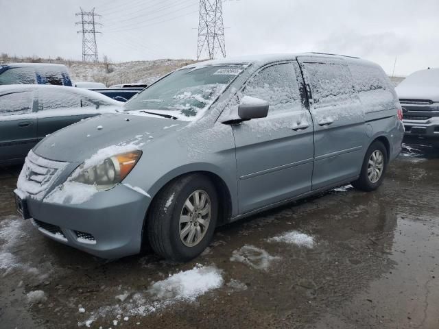 2009 Honda Odyssey EXL