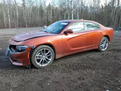 Dodge salvage cars for sale: 2021 Dodge Charger SXT