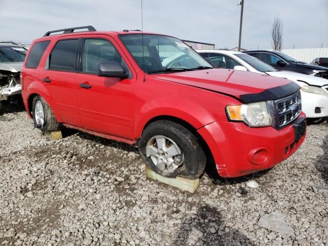 2009 Ford Escape XLT