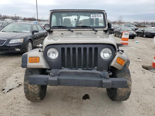 2003 Jeep Wrangler / TJ Rubicon