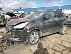 Salvage cars for sale at Woodhaven, MI auction: 2016 Ford Escape SE