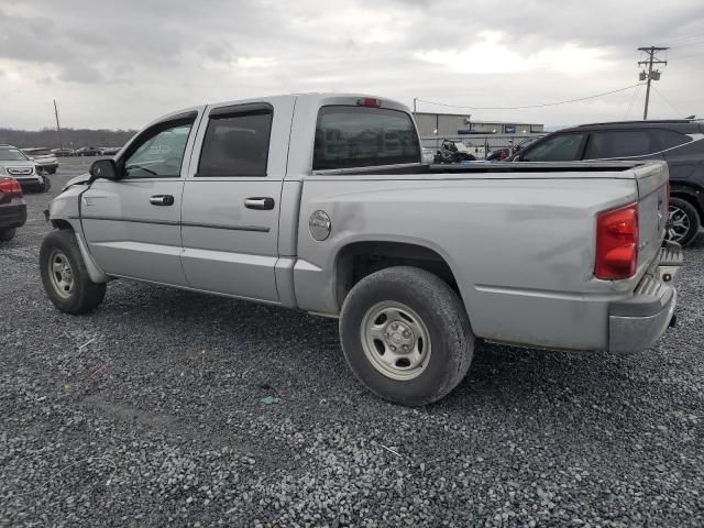 2005 Dodge Dakota Quattro