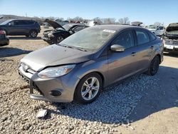 Ford Focus salvage cars for sale: 2014 Ford Focus SE