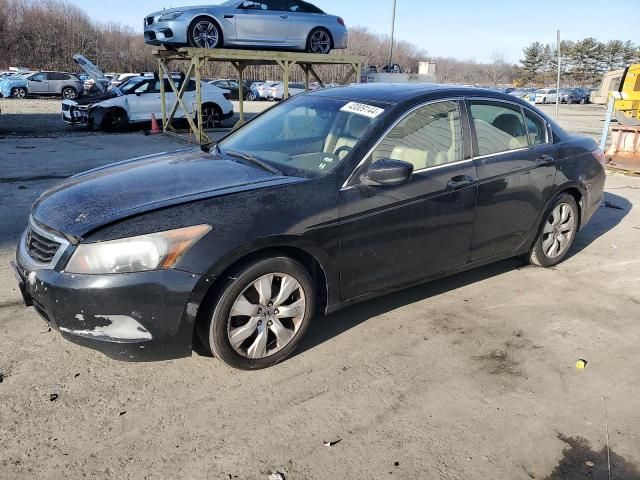 2010 Honda Accord EXL