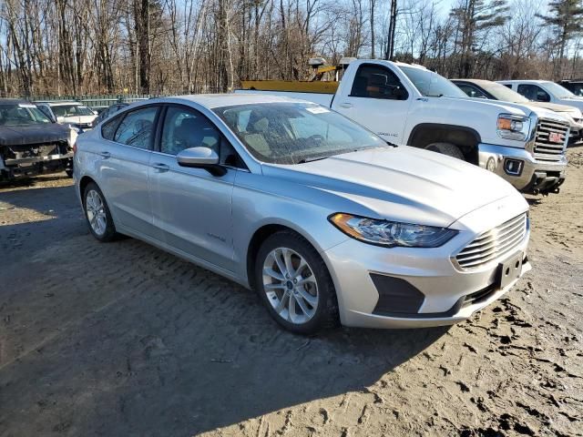 2019 Ford Fusion SE