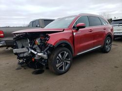 Salvage cars for sale at New Britain, CT auction: 2023 KIA Sorento EX