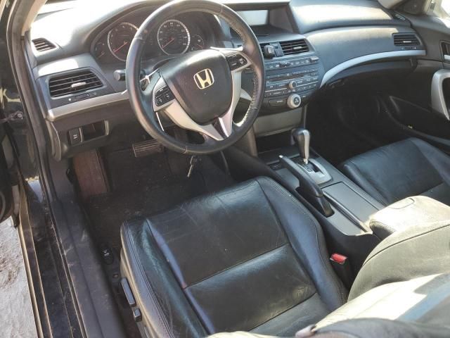 2009 Honda Accord EXL