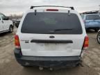 2001 Ford Escape XLT