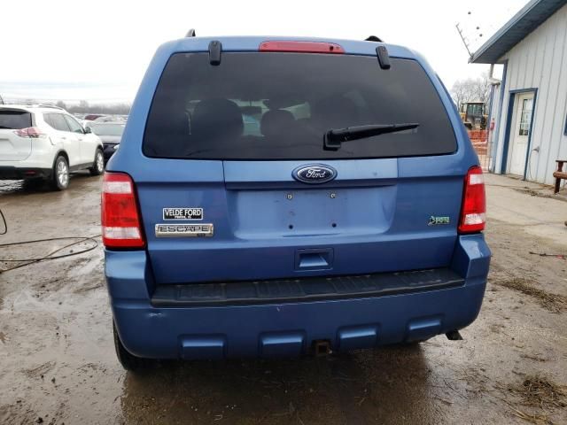 2010 Ford Escape XLT