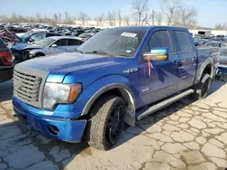 Salvage cars for sale from Copart Bridgeton, MO: 2012 Ford F150 Supercrew