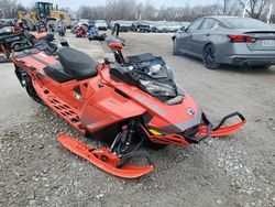 Skidoo salvage cars for sale: 2019 Skidoo Backcountr