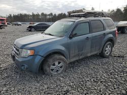 Salvage cars for sale at Windham, ME auction: 2010 Ford Escape XLT