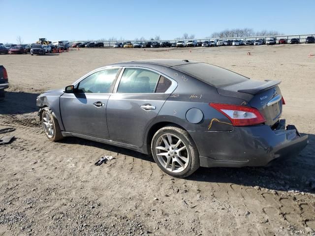 2010 Nissan Maxima S