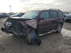 Honda Pilot salvage cars for sale: 2011 Honda Pilot EXL