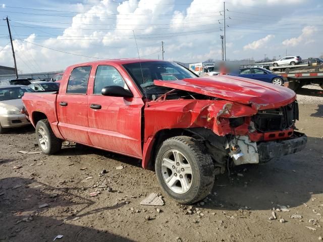 2011 Dodge Dakota SLT