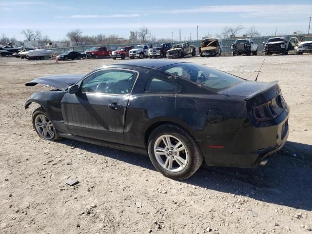 2013 Ford Mustang