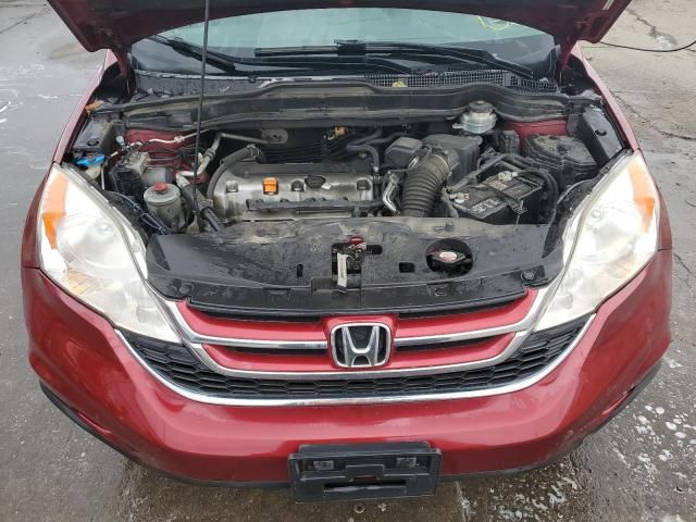 2010 Honda CR-V EXL