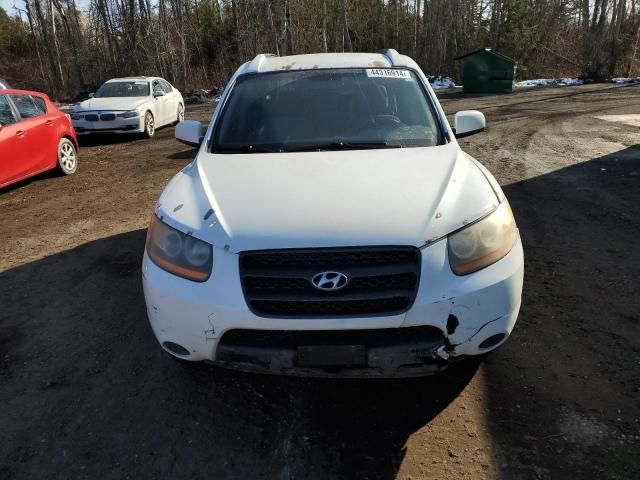 2009 Hyundai Santa FE GLS