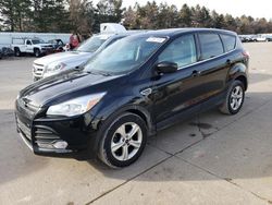 2014 Ford Escape SE for sale in Eldridge, IA