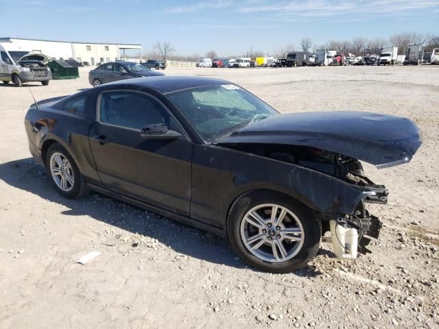 2013 Ford Mustang