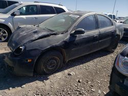 Dodge salvage cars for sale: 2003 Dodge Neon SXT