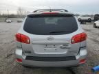 2009 Hyundai Santa FE SE