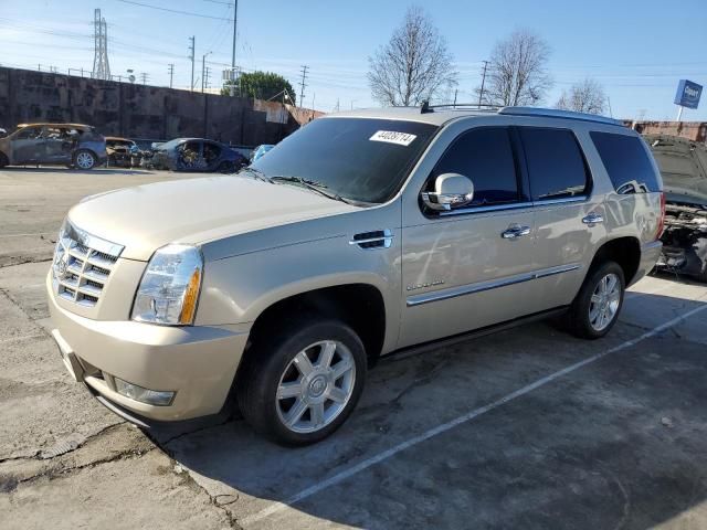 2011 Cadillac Escalade Premium