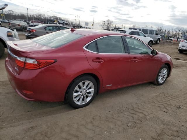 2014 Lexus ES 300H