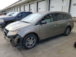 Salvage cars for sale at Louisville, KY auction: 2011 Honda Odyssey EXL