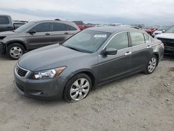 Salvage cars for sale from Copart Earlington, KY: 2009 Honda Accord EXL