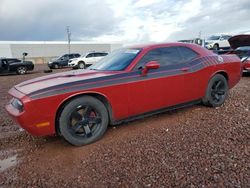 Salvage cars for sale at Phoenix, AZ auction: 2013 Dodge Challenger SXT