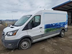 Salvage trucks for sale at Helena, MT auction: 2020 Ford Transit T-250