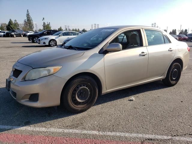 2010 Toyota Corolla Base