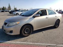 Salvage cars for sale at Rancho Cucamonga, CA auction: 2010 Toyota Corolla Base