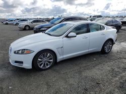 Jaguar XF salvage cars for sale: 2013 Jaguar XF