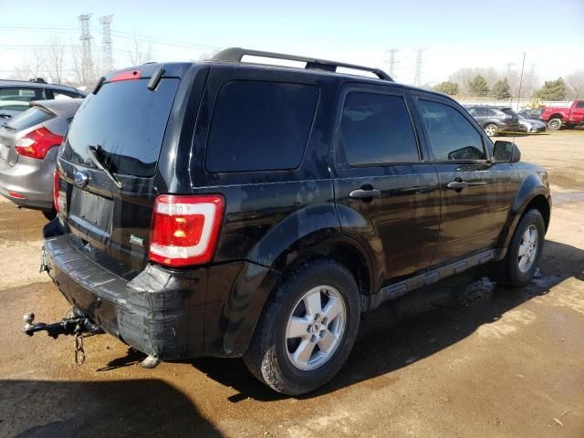 2010 Ford Escape XLT