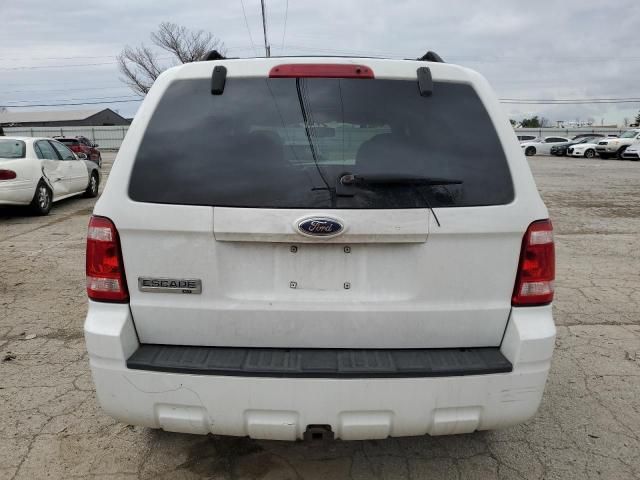 2008 Ford Escape XLT