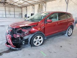 Ford Vehiculos salvage en venta: 2013 Ford Escape SE