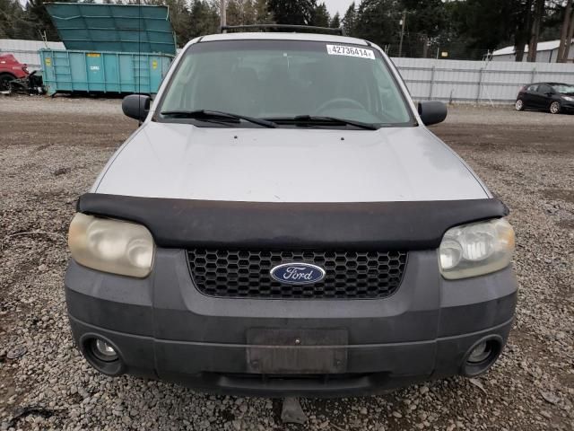 2005 Ford Escape XLT