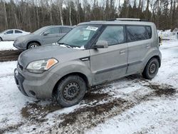 KIA Vehiculos salvage en venta: 2010 KIA Soul +