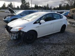 Salvage cars for sale at Graham, WA auction: 2013 Toyota Prius